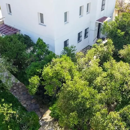 One Br Vacation W/garden In Apartment